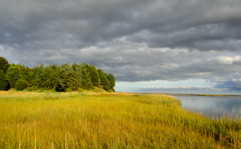 Nauset Trail