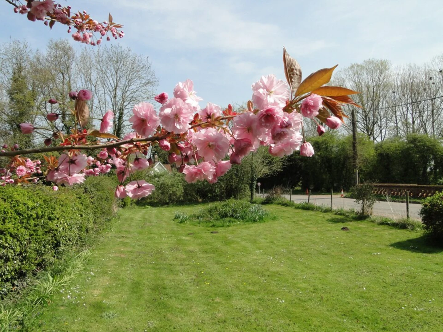 An image depicting the trail Mid Suffolk Footpath and its surrounding area.