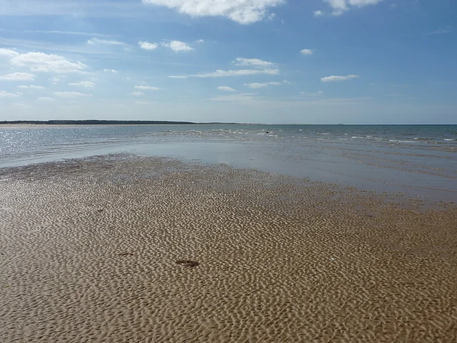 Wells Harbour and Holkham Naturist Beach Loop