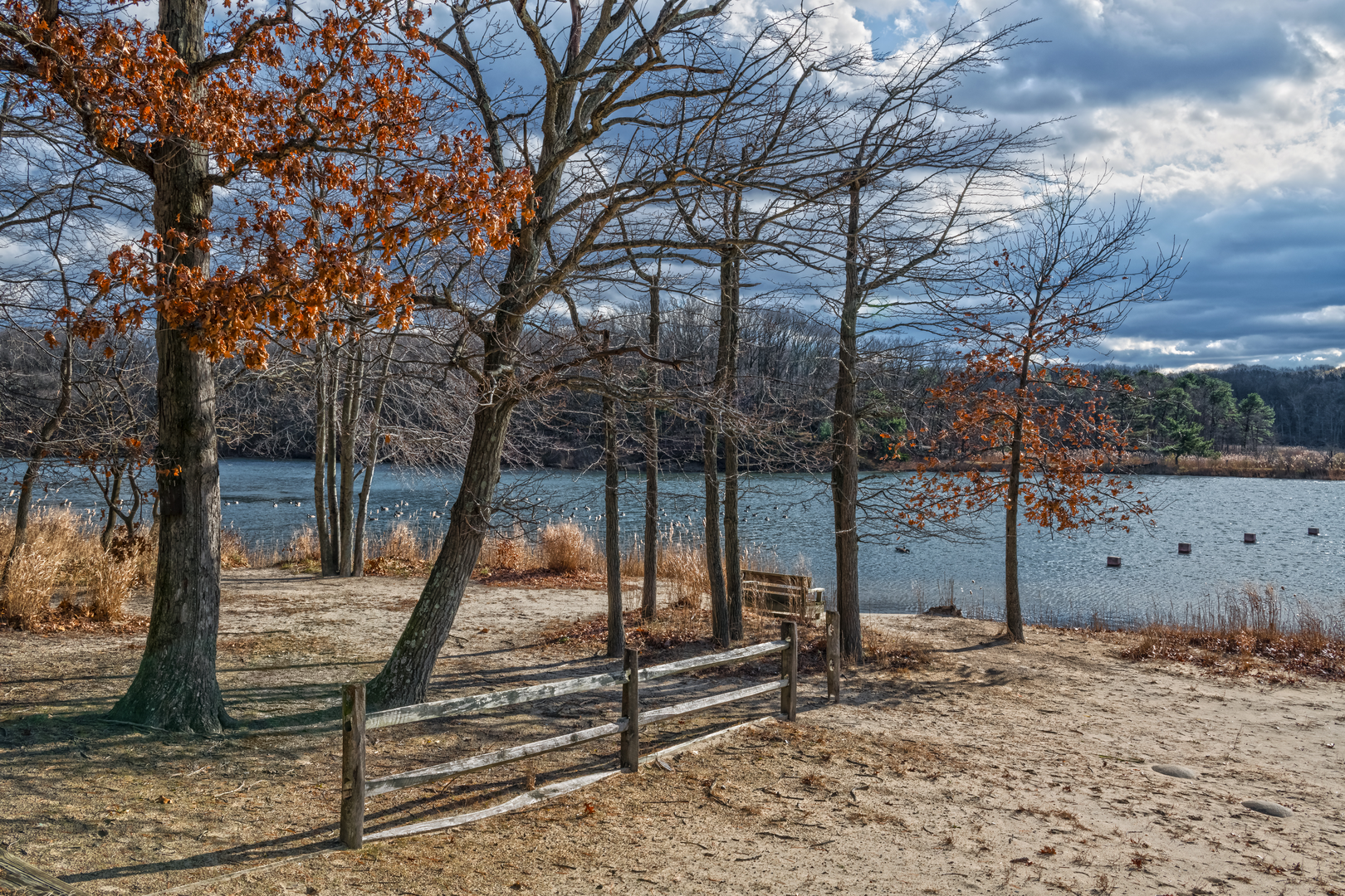 An image depicting the trail Green Loop Trail in Cheesequake State Park and its surrounding area.