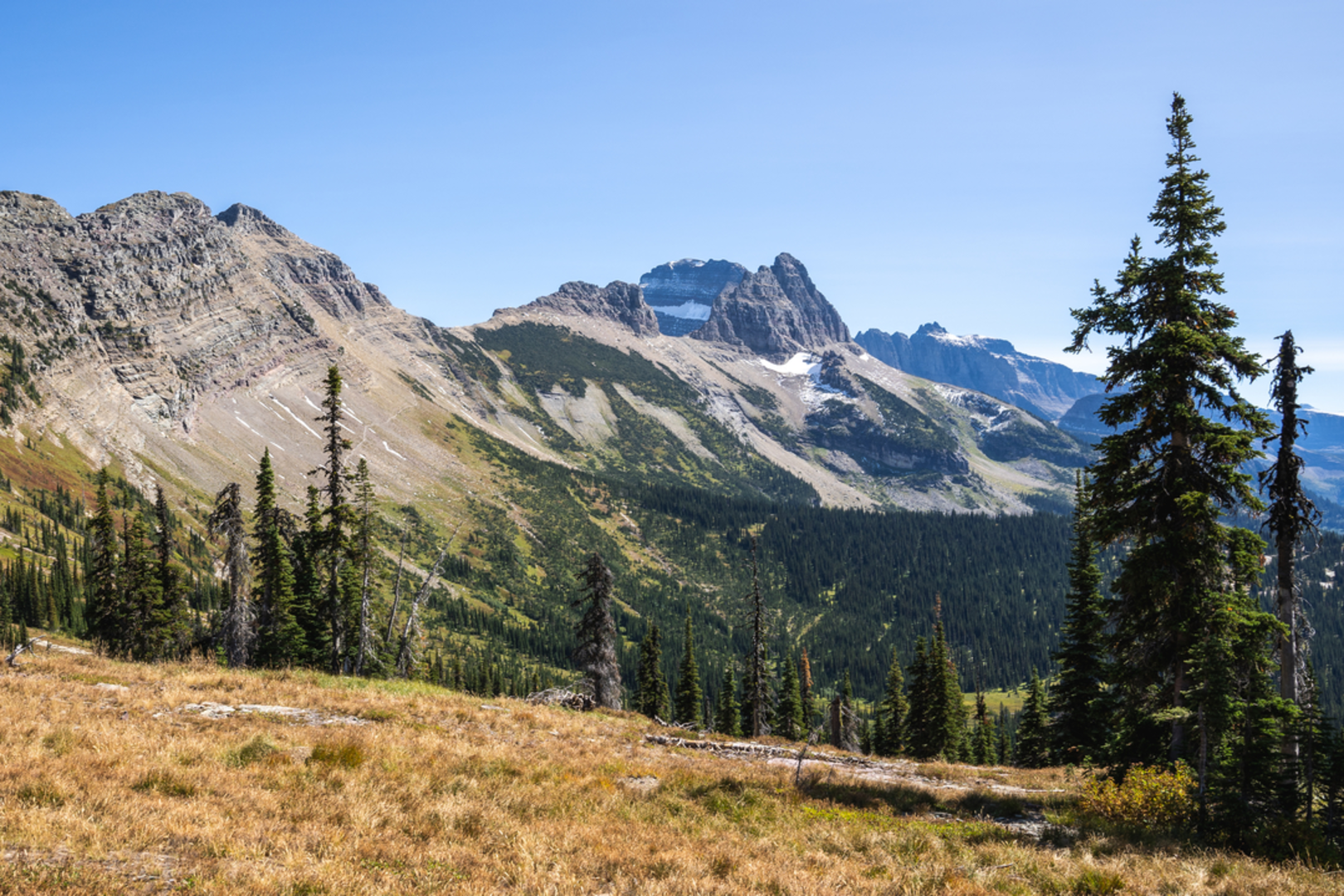 An image depicting the trail Granite Park Campground Trail via Granite Park Trail and its surrounding area.