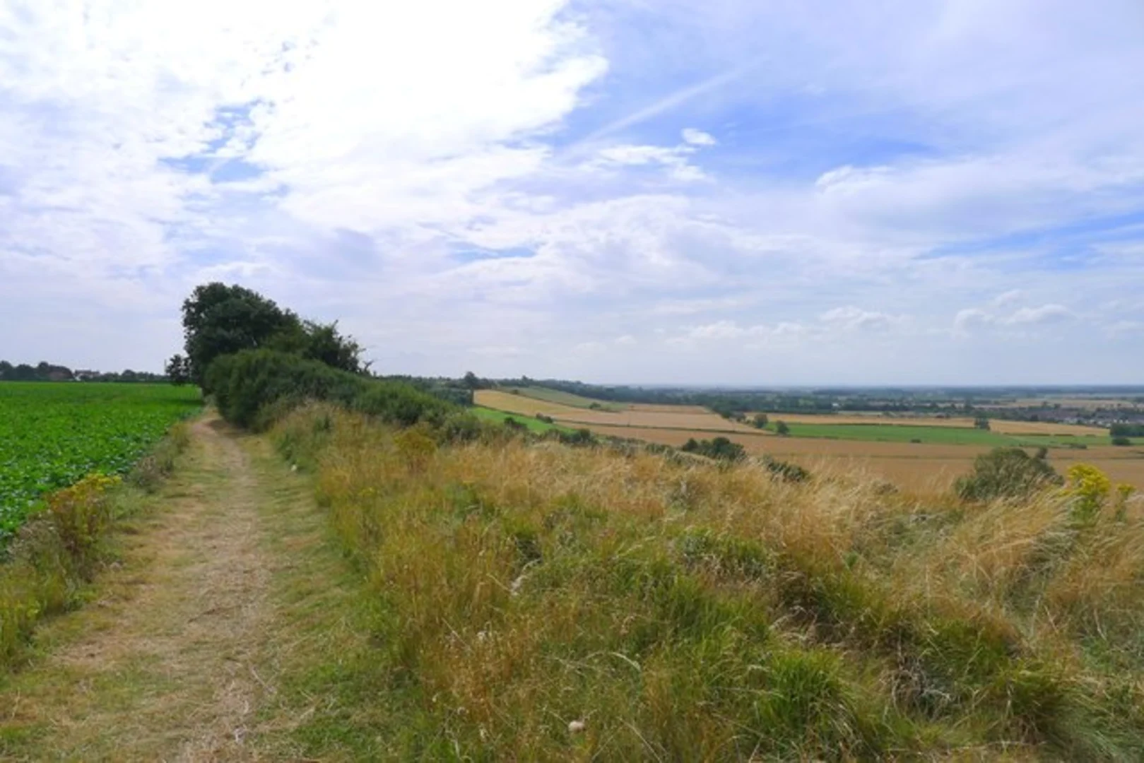 An image depicting the trail River Witham Loop - Bracebridge and its surrounding area.