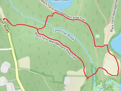 Black Farm Management Area Loop Trail