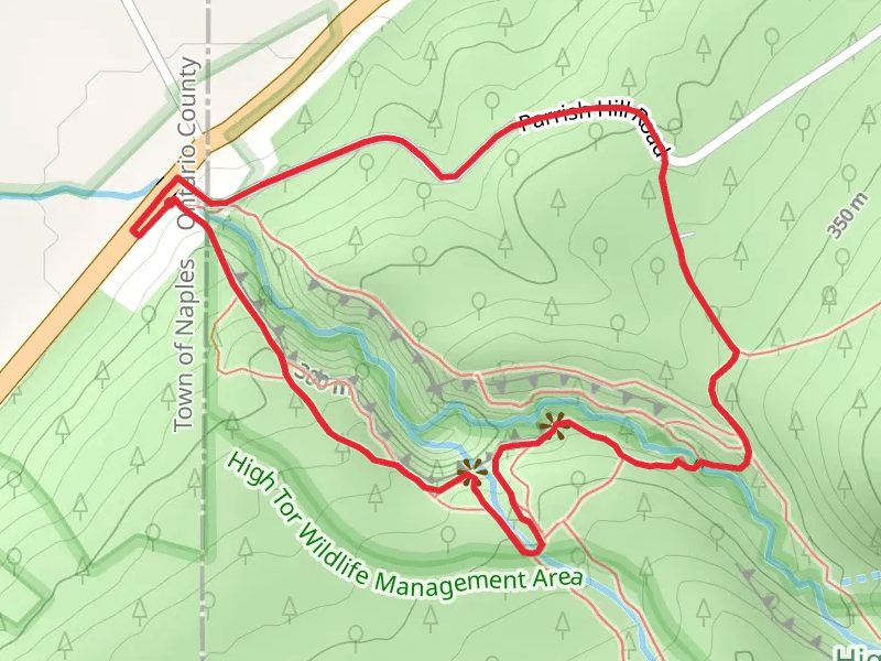 Parrish Gully Ridge Loop Trail