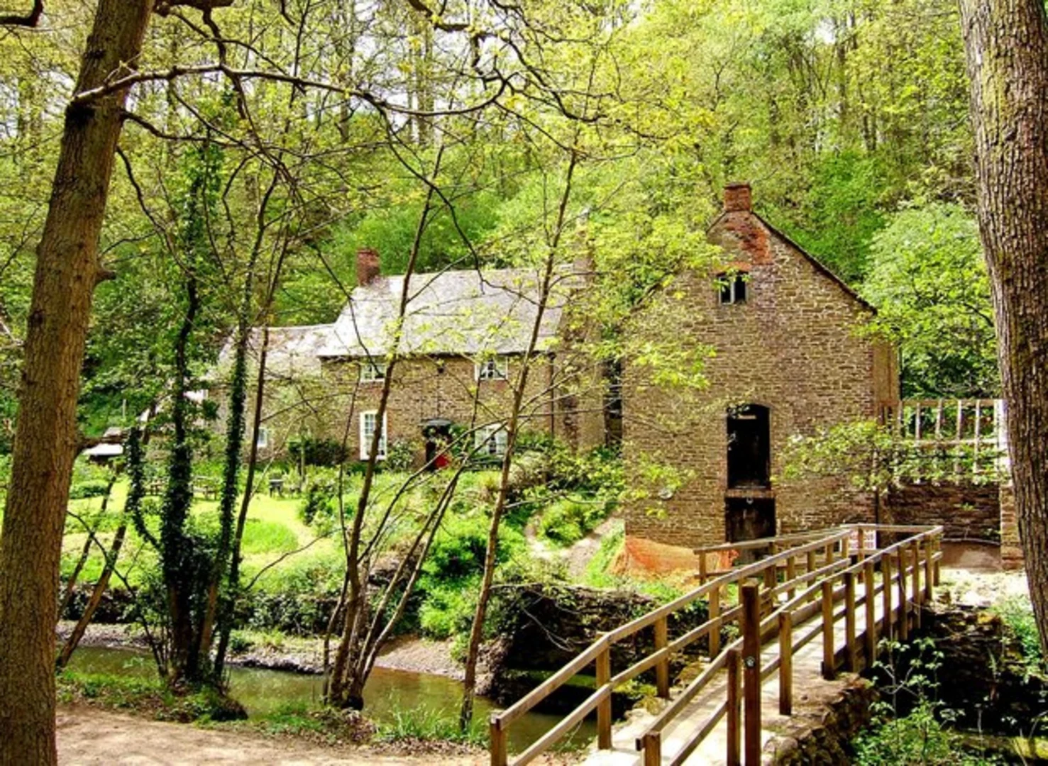 An image depicting the trail Dowles Brook Loop via Dry Mill Lane and its surrounding area.