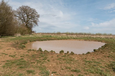 Heartwood Forest Loop