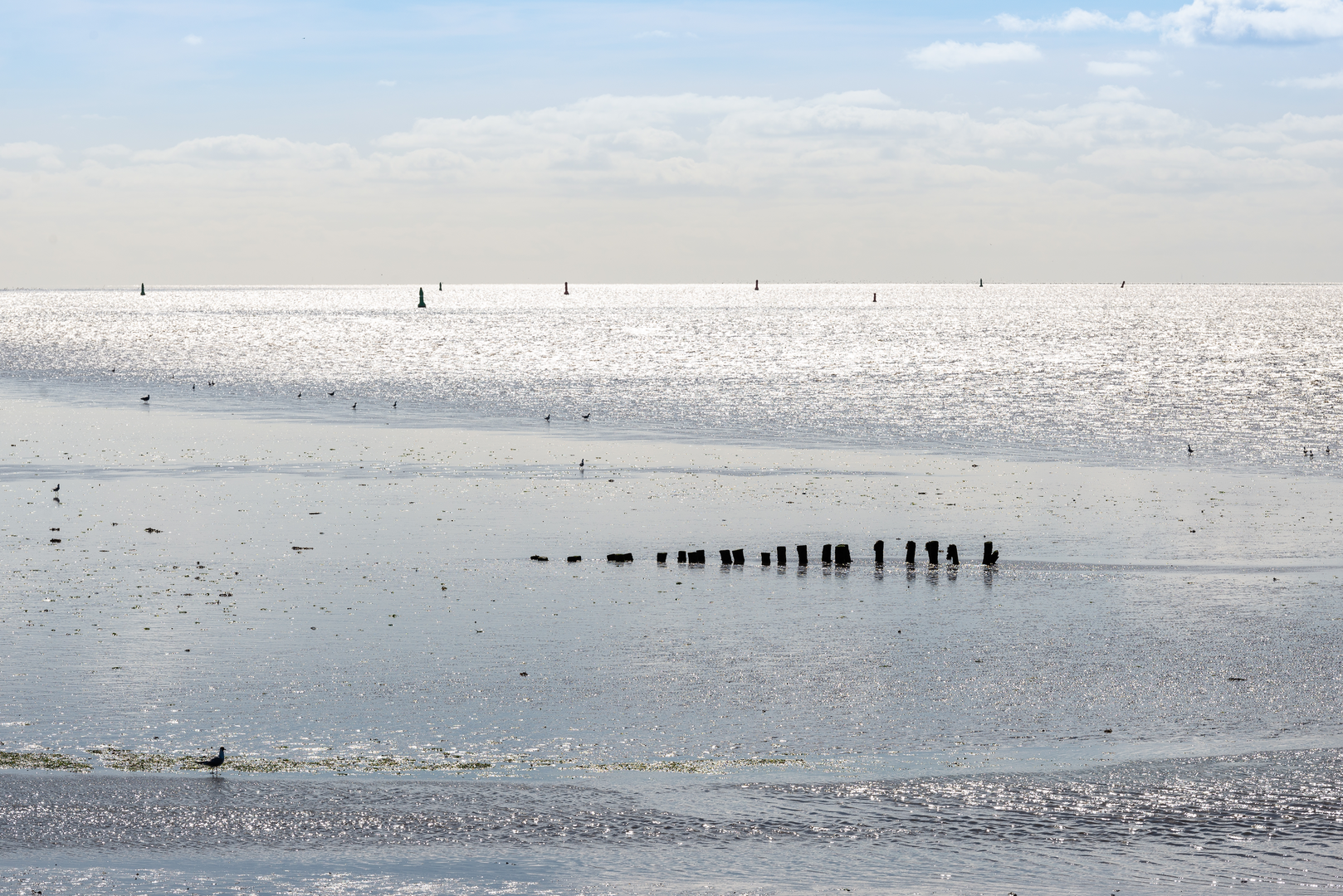 An image depicting the trail Harlingen to Den Helder via Afsluitdijk and Karel Doormanweg and its surrounding area.