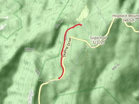 Elkwallow Trail from Elkwallow Gap