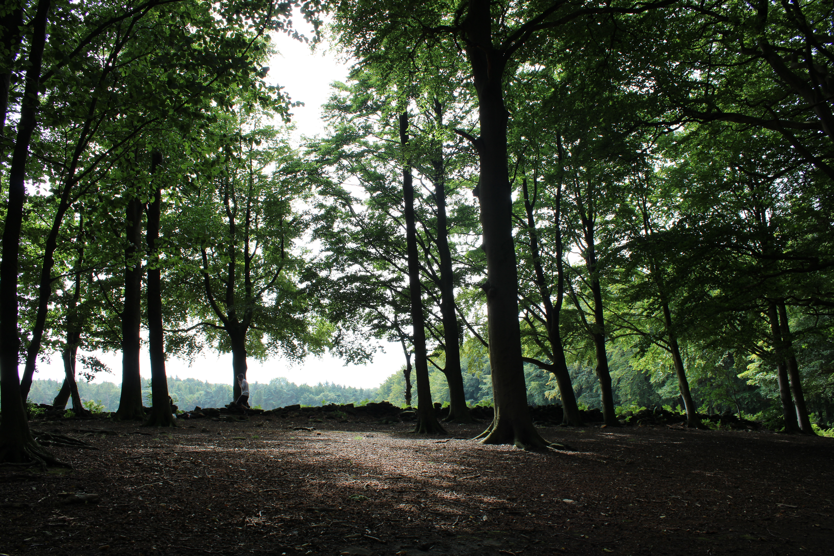 An image depicting the trail Eccup Reservoir Circular and its surrounding area.