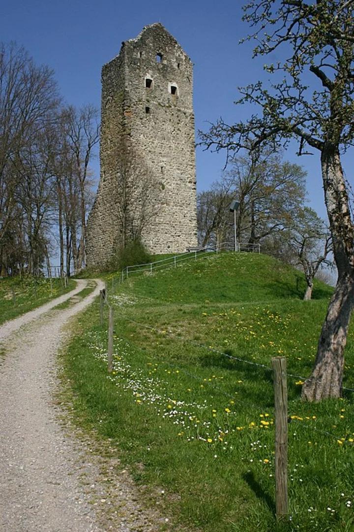 An image depicting the trail Burgruine Neuravensburg and Pflegelberg Loop and its surrounding area.