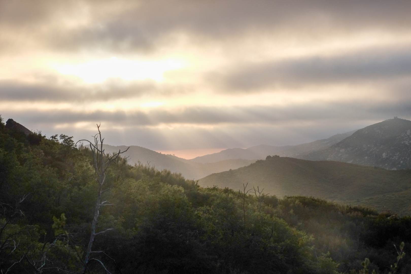 An image depicting the trail Oakzanita Peak via Lower Descanso Creek Trail and its surrounding area.