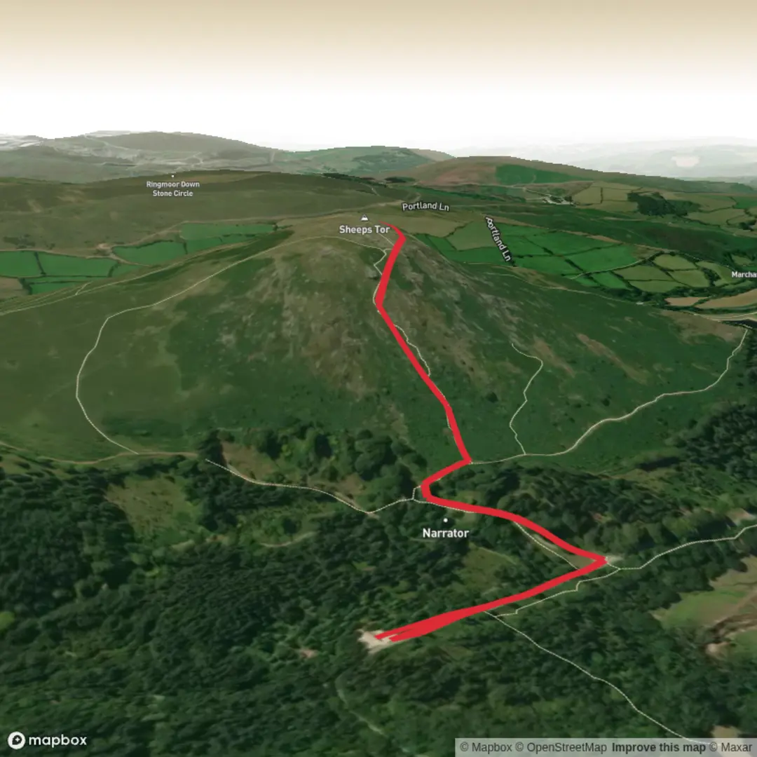 An image depicting the trail sheep's tor and its surrounding area.