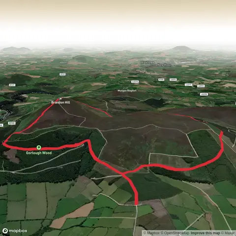 Brandonhill Circular