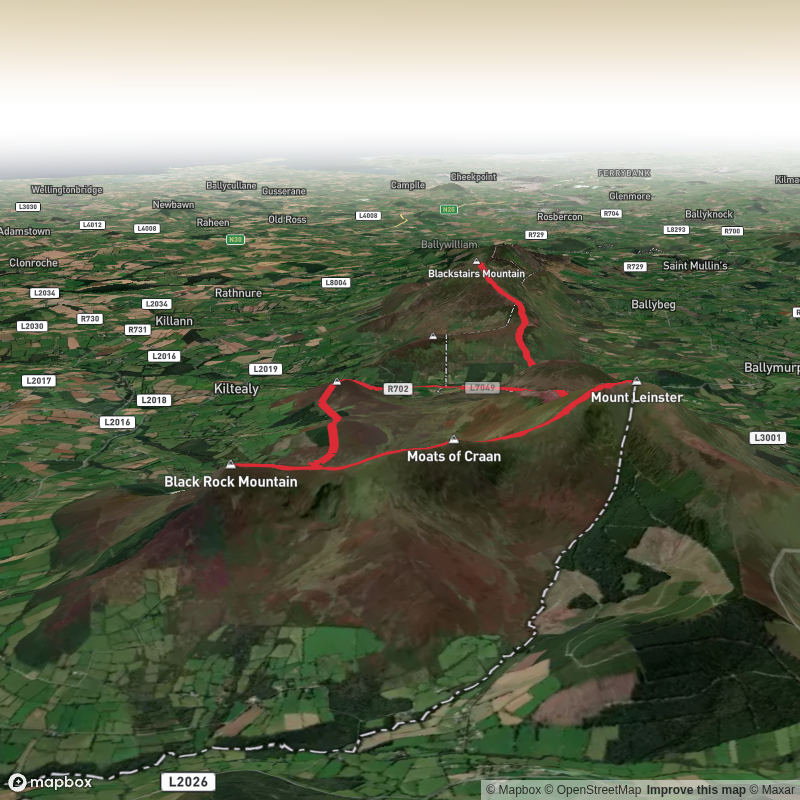 Mount Leinster Loop