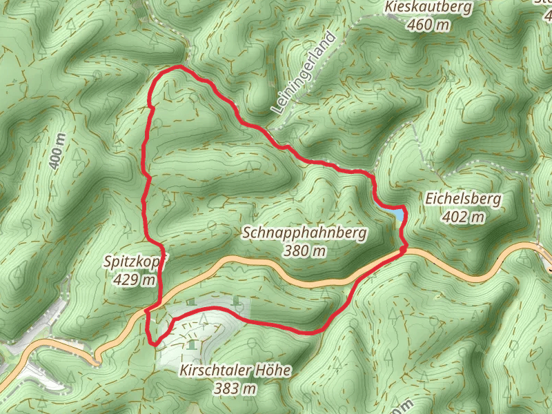 RuheForst Pfälzerwald and Isenachweiher Loop via Saar Pfalz Weg