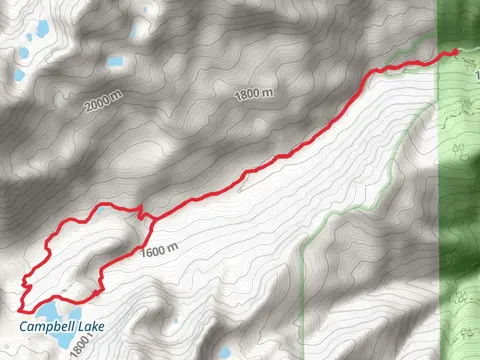 Shackleford Creek and Campbell Lake Trail