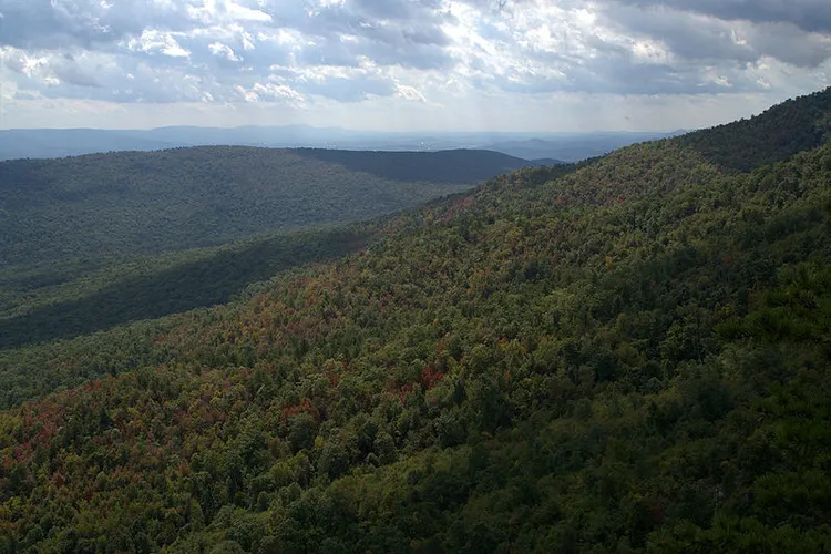 Tuscarora - Three Ponds Trail