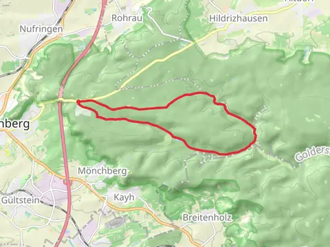 24 Buchen via Blauer Punkt