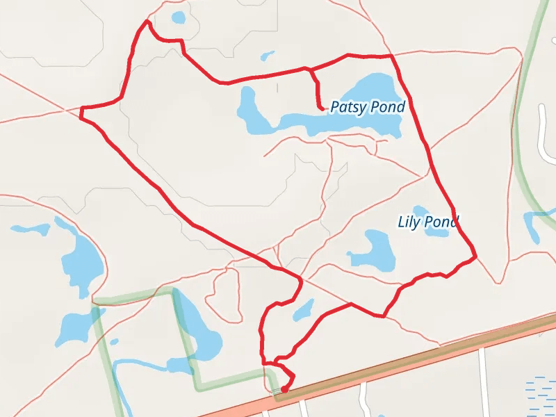 Patsy Pond Yellow Trail