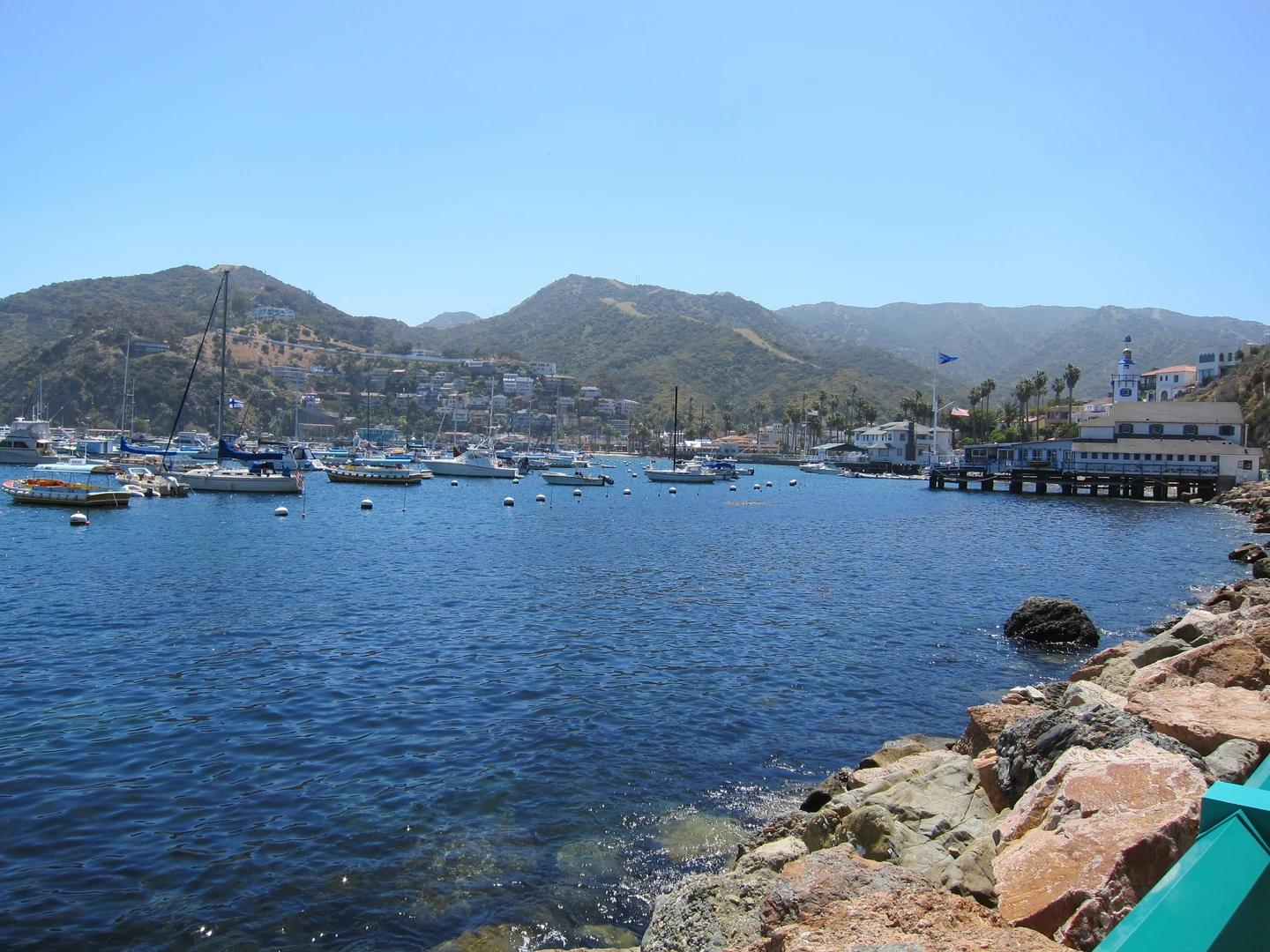 An image depicting the trail Trans Catalina Trail and Hermit Culch Trail Loop and its surrounding area.