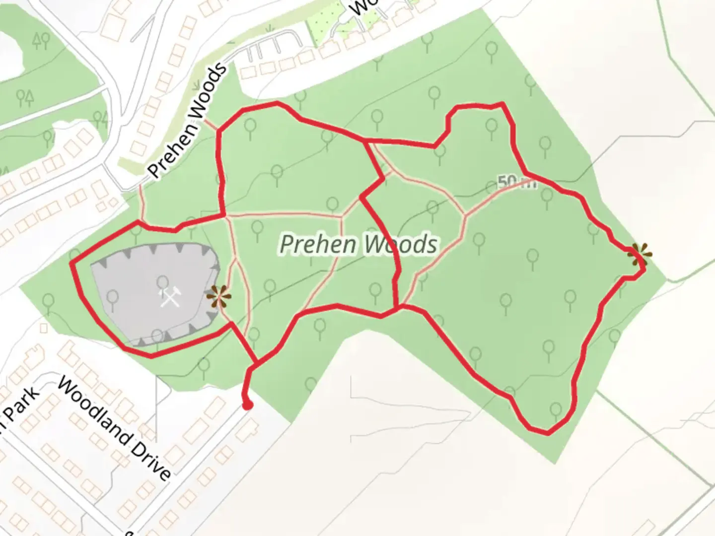 An image depicting the trail Prehen Wood and its surrounding area.