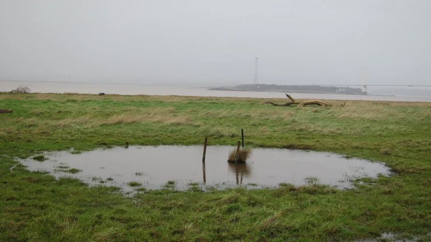 Northwick Warth and Severn Way
