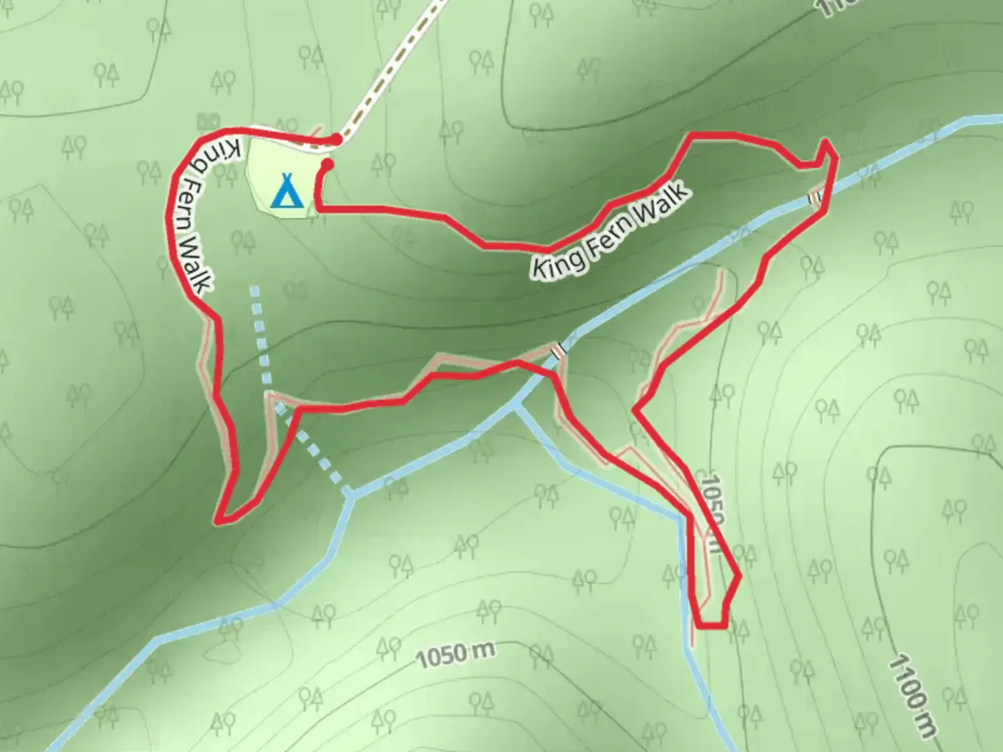 An image depicting the trail King Fern Track and its surrounding area.