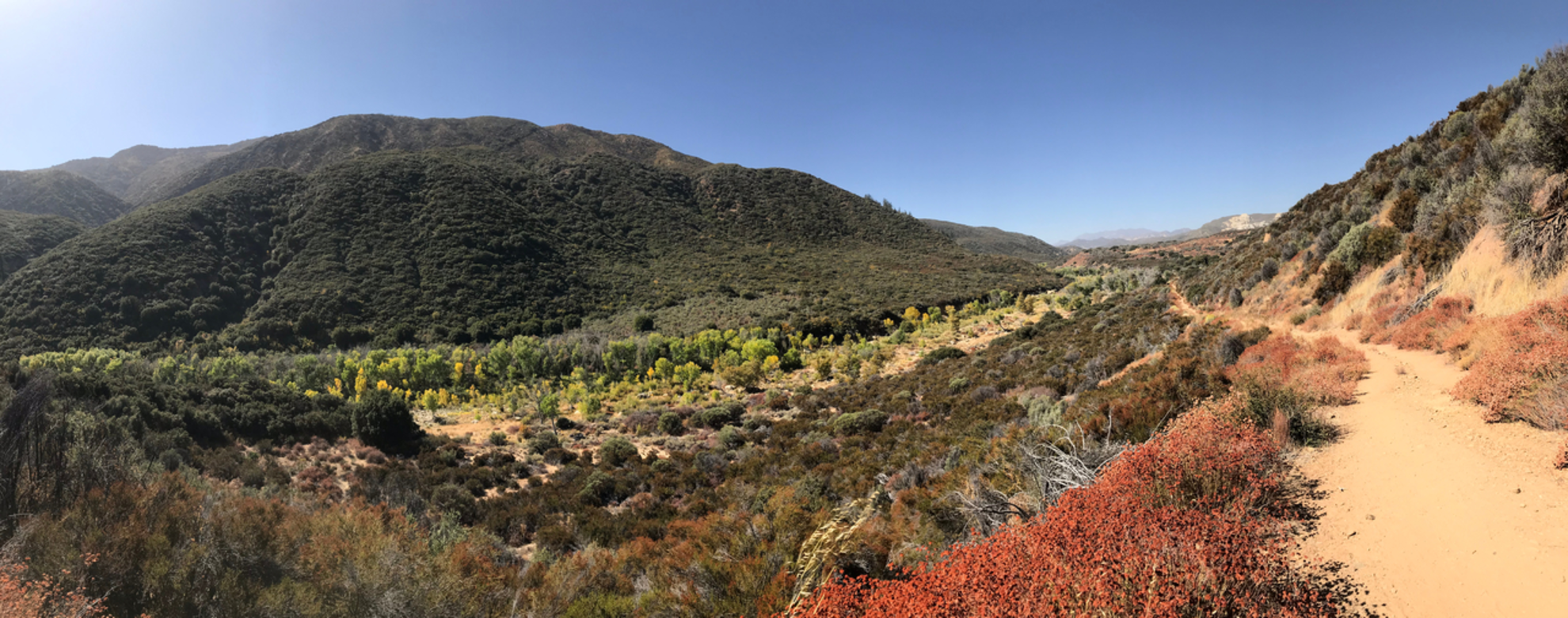 An image depicting the trail Sespe River Trail and its surrounding area.