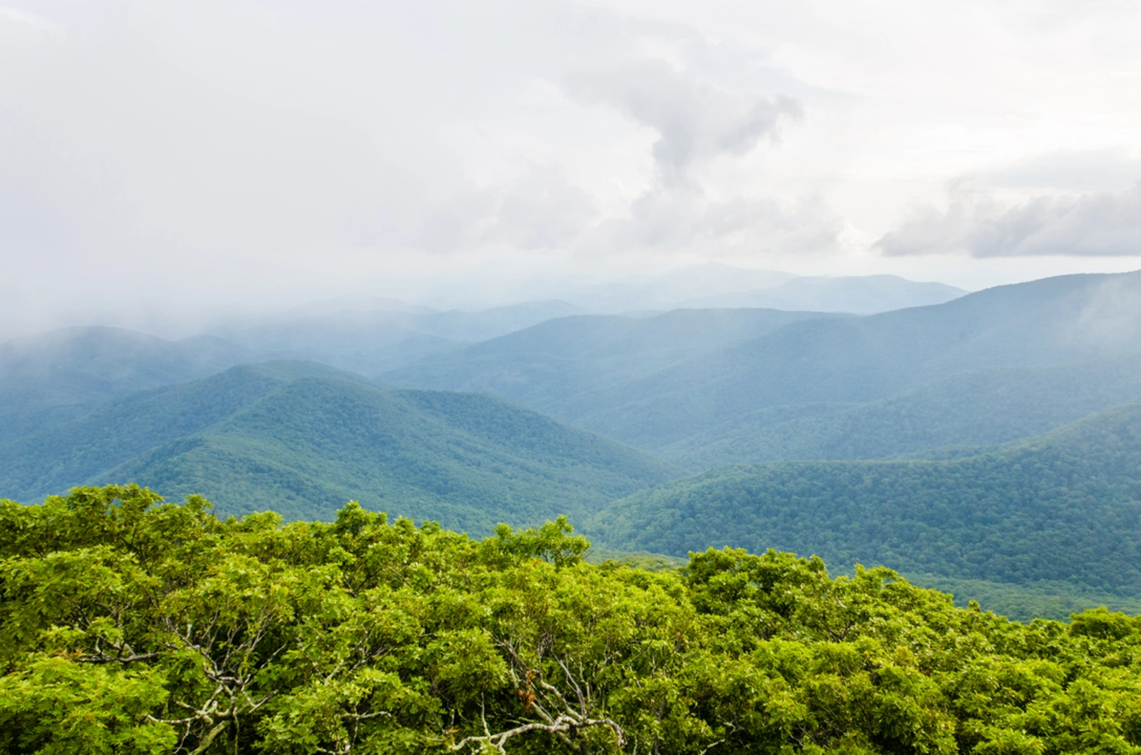 An image depicting the trail Henry Lanum Trail and its surrounding area.