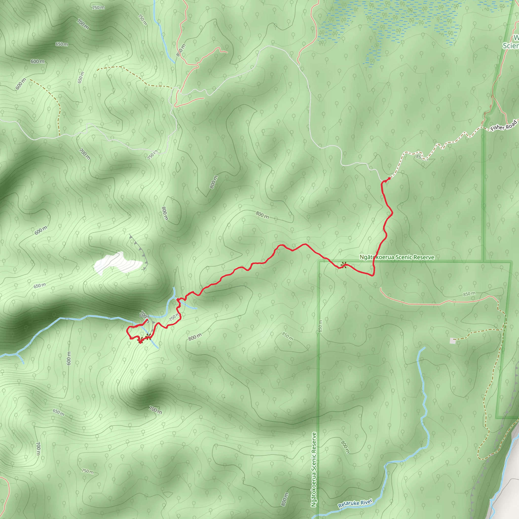Tupapakurua Falls Track mobile static map