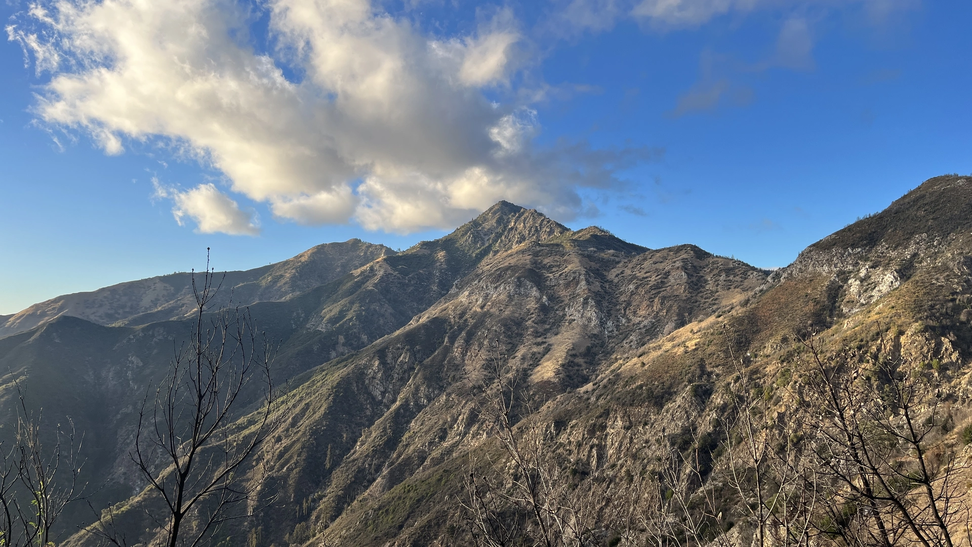 An image depicting the trail Cone Peak Trail and its surrounding area.