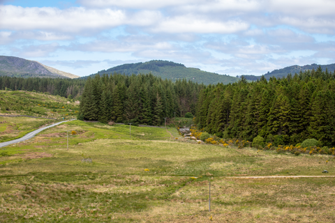 Cluchrie Wood and Knockman Wood Loop