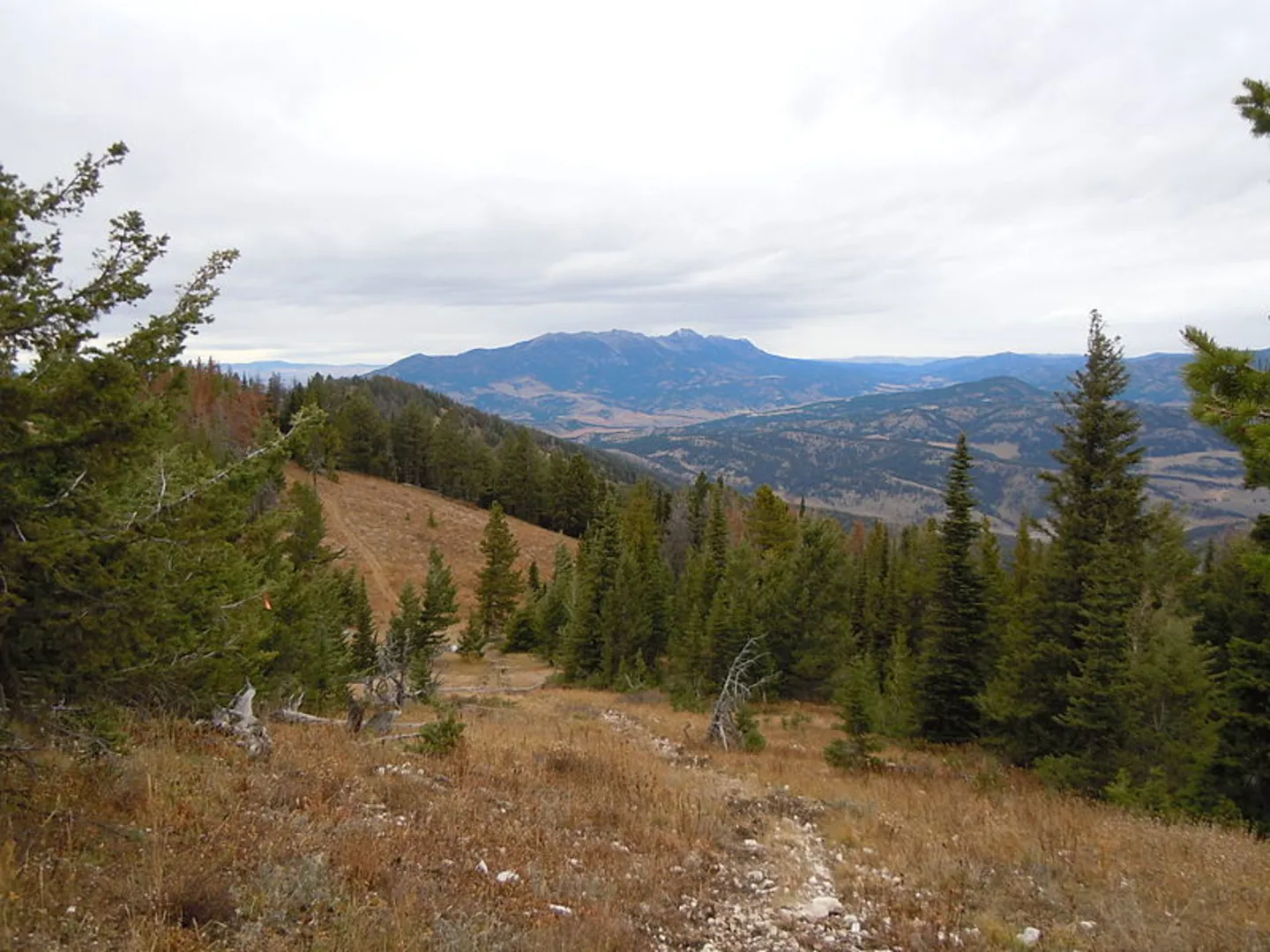An image depicting the trail Chestnut Mountain Trail and its surrounding area.