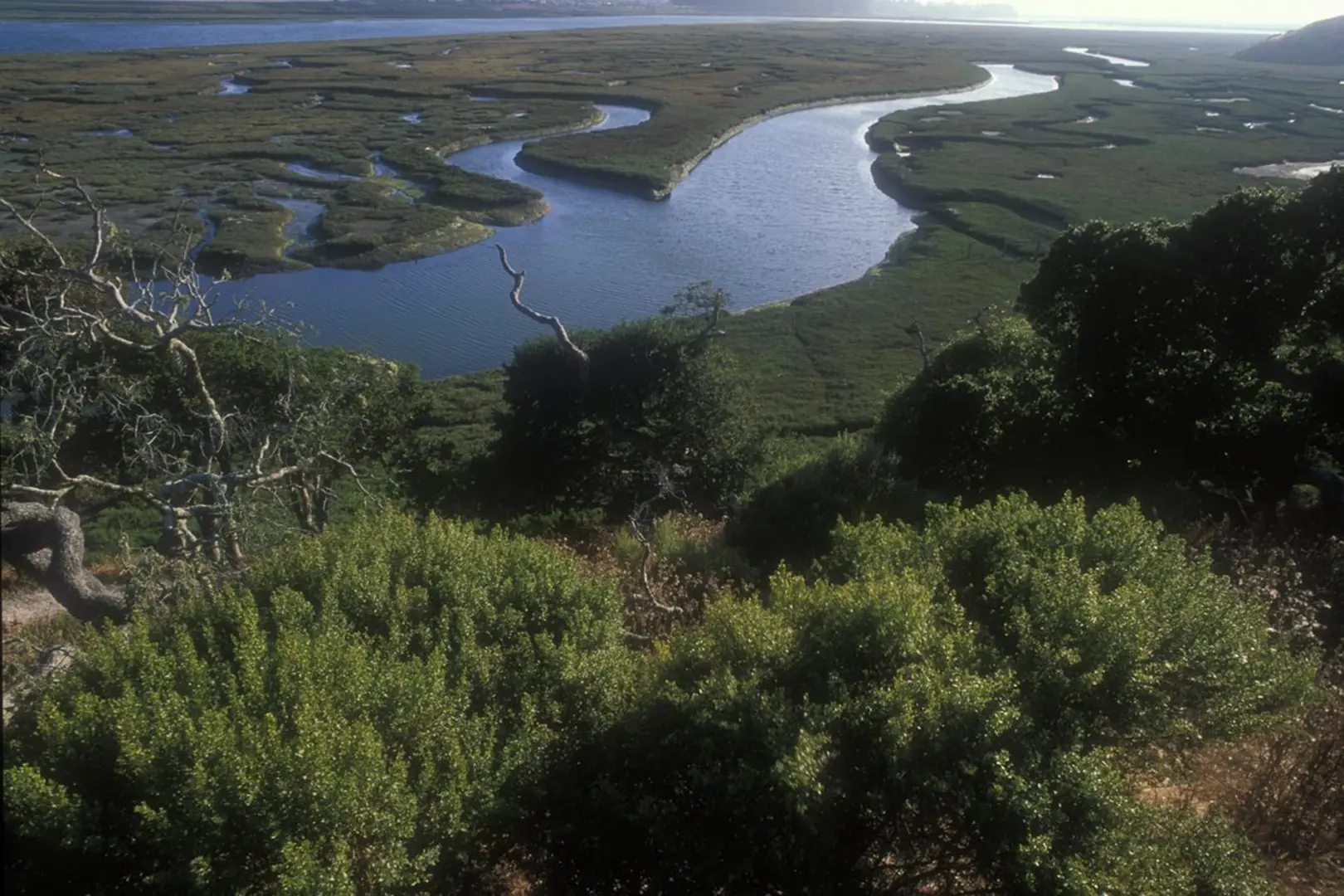 An image depicting the trail Five Fingers Loop Trail and its surrounding area.