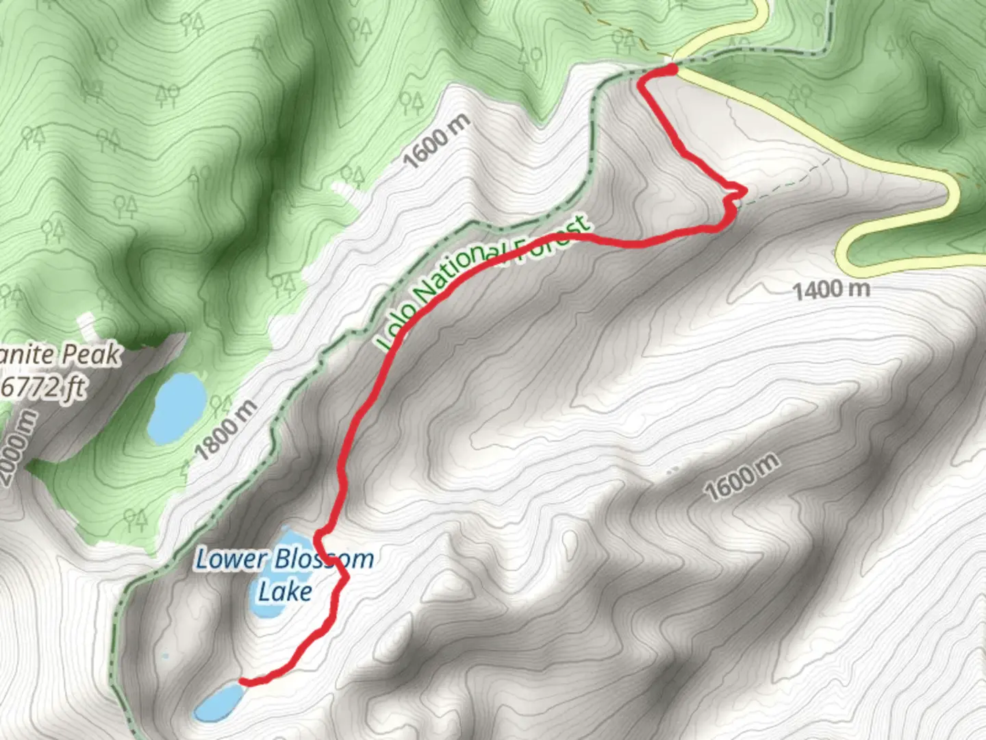 An image depicting the trail Blossom Lakes Trail and its surrounding area.