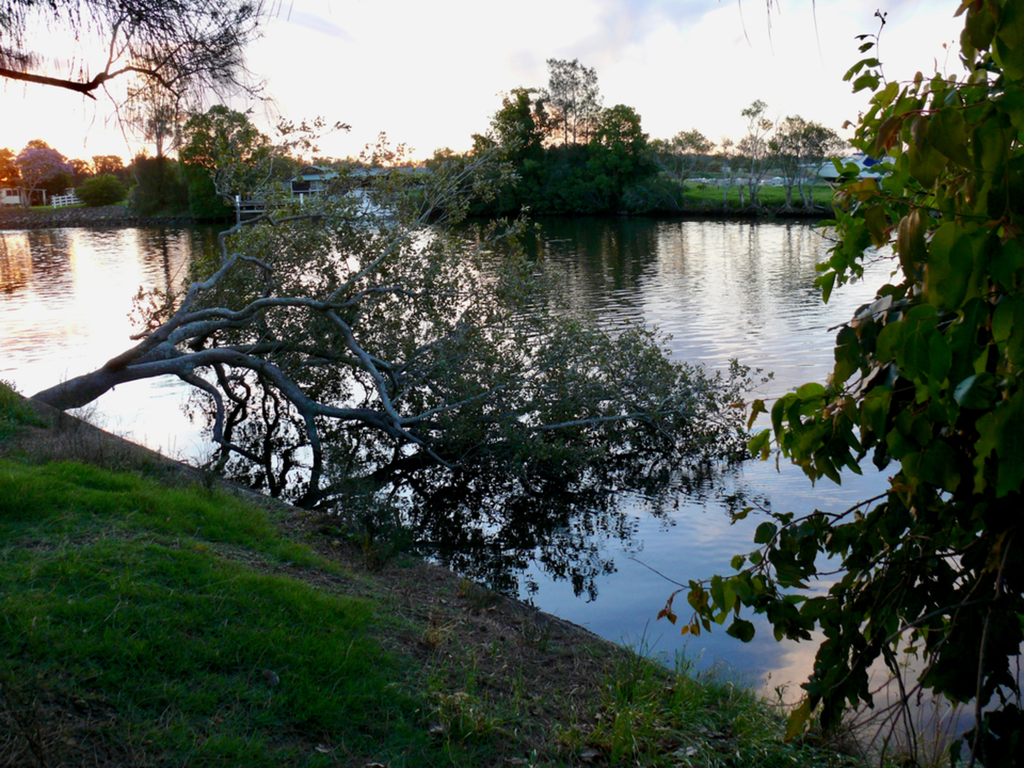 An image depicting the trail Dawsons Spring Nature Trail and its surrounding area.