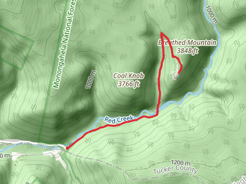 Rocky Point and Red Creek Trail