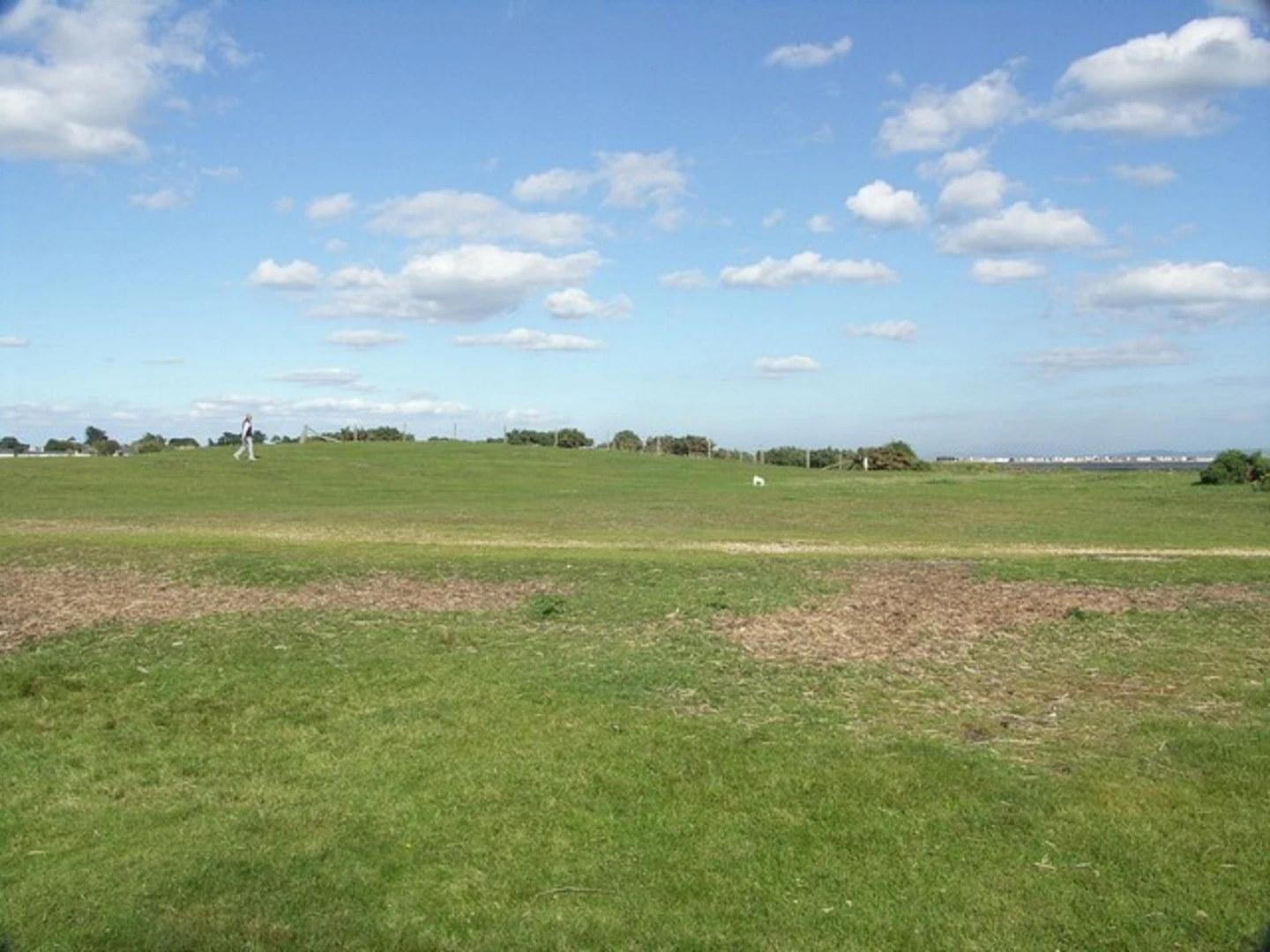 An image depicting the trail Stanpit Marsh Loop and its surrounding area.