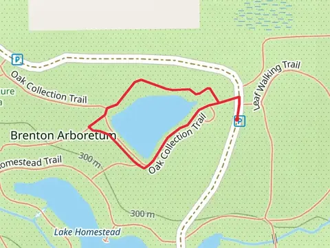 Overlook Pond Loop