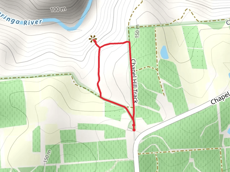 Chapel Hill Lookout Loop Track