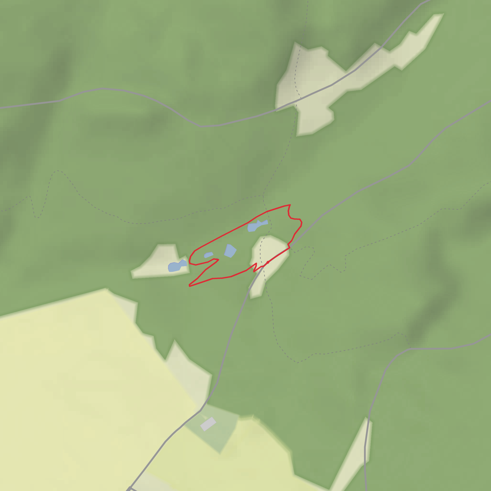 Newcastleon Forest Ponds Trail mobile static map