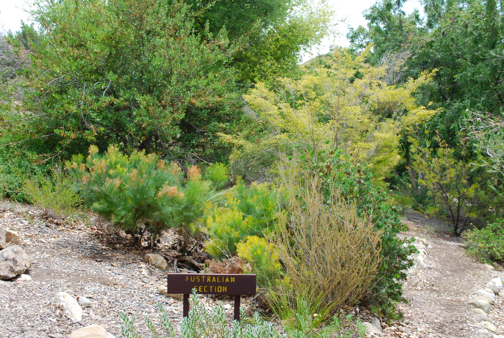 An image depicting the trail Conejo Valley Botanic Garden Loop and its surrounding area.