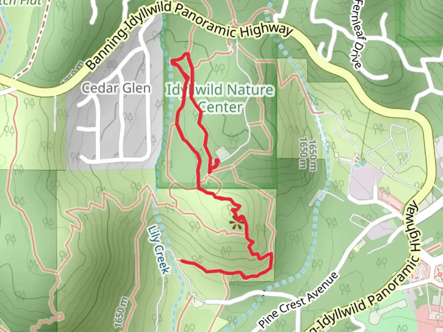 An image depicting the trail Yellow Pine Trail and its surrounding area.