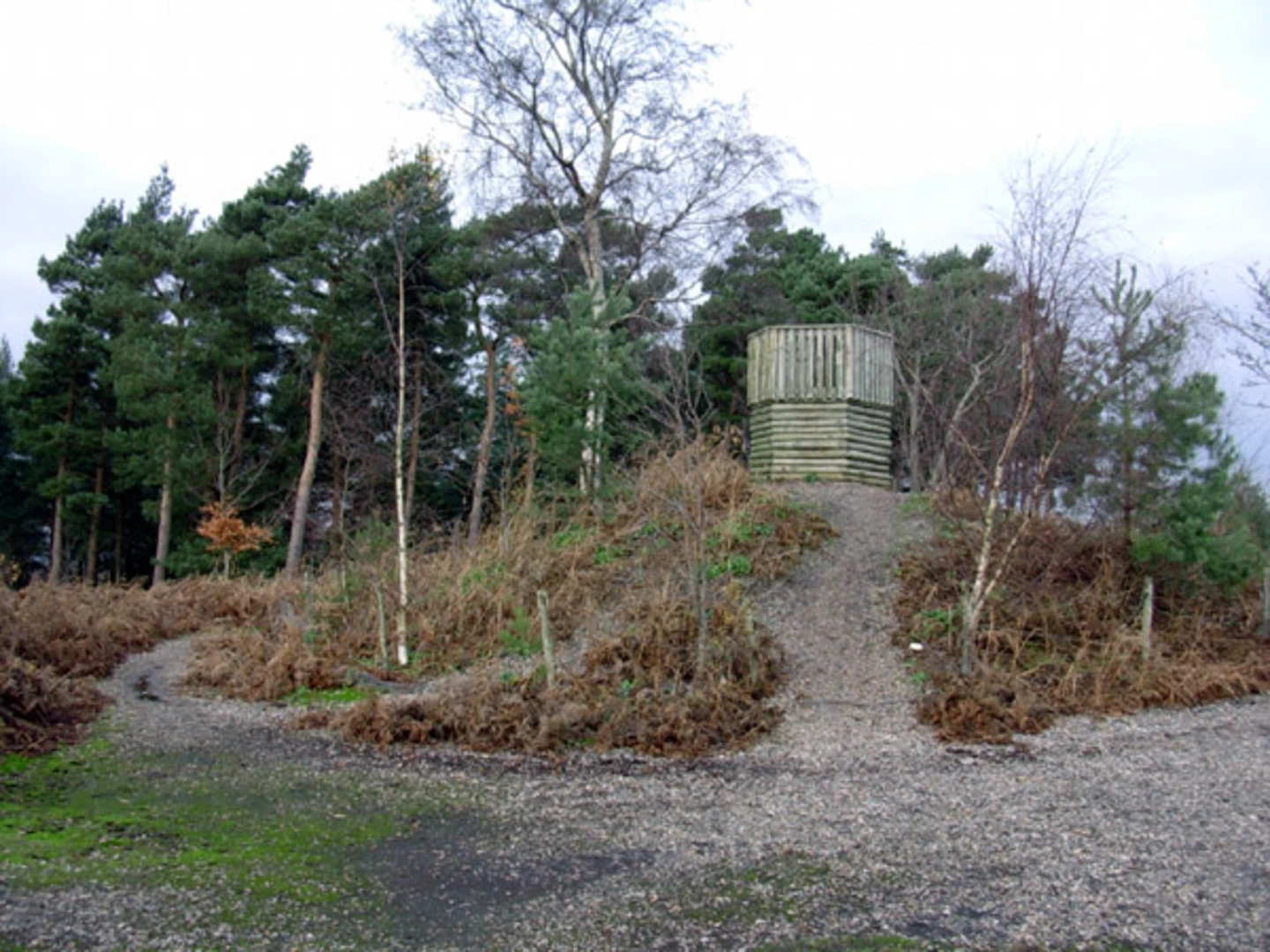 Selling, Molash and Shottenden Loop via Perry Wood | Kent | England
