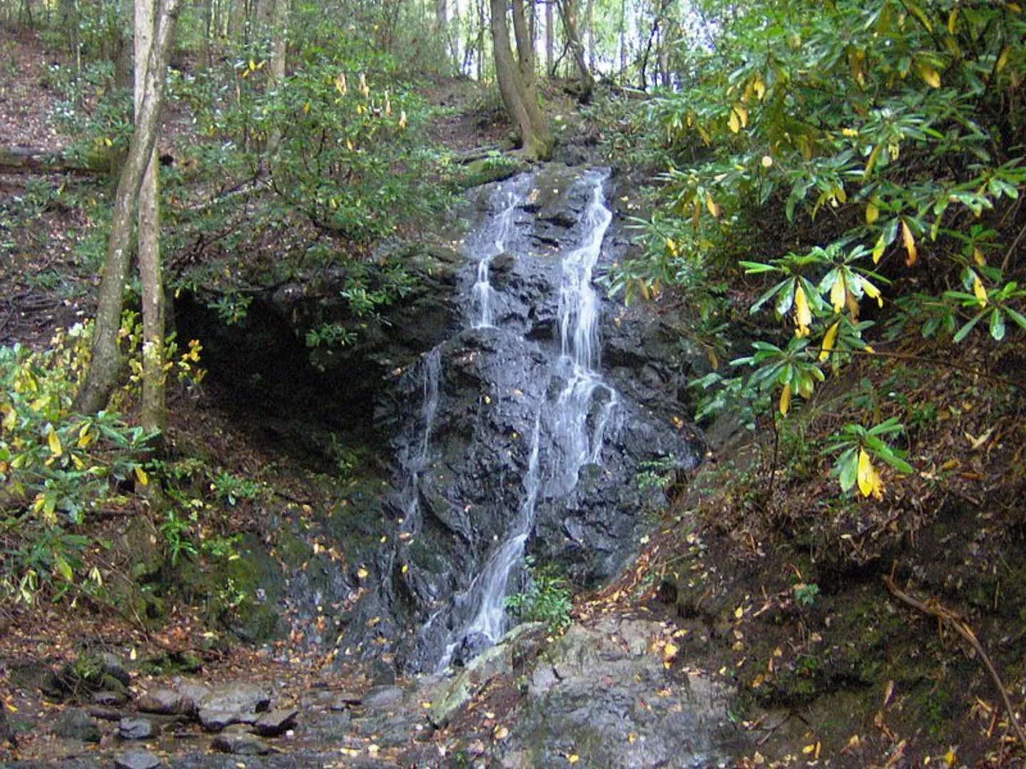 An image depicting the trail Cove Mountain Trail and its surrounding area.