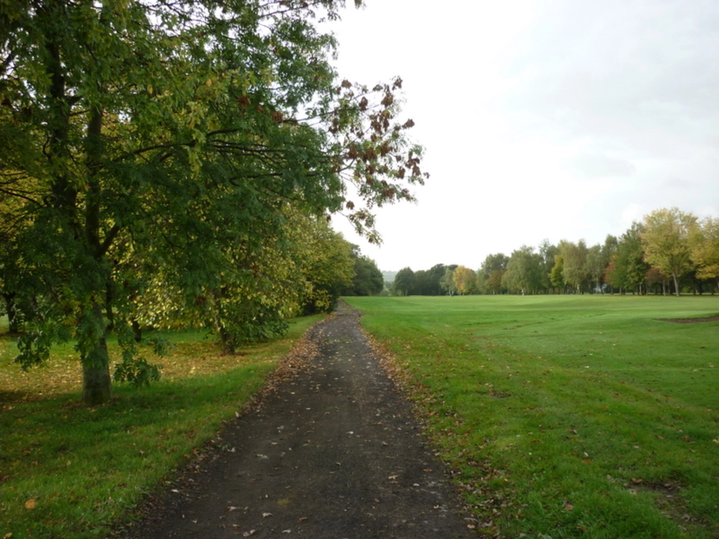 An image depicting the trail Mather Wood and Temple Newsam Park Loop and its surrounding area.