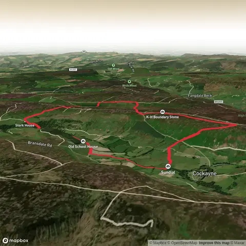 Tom's Bransdale fell race