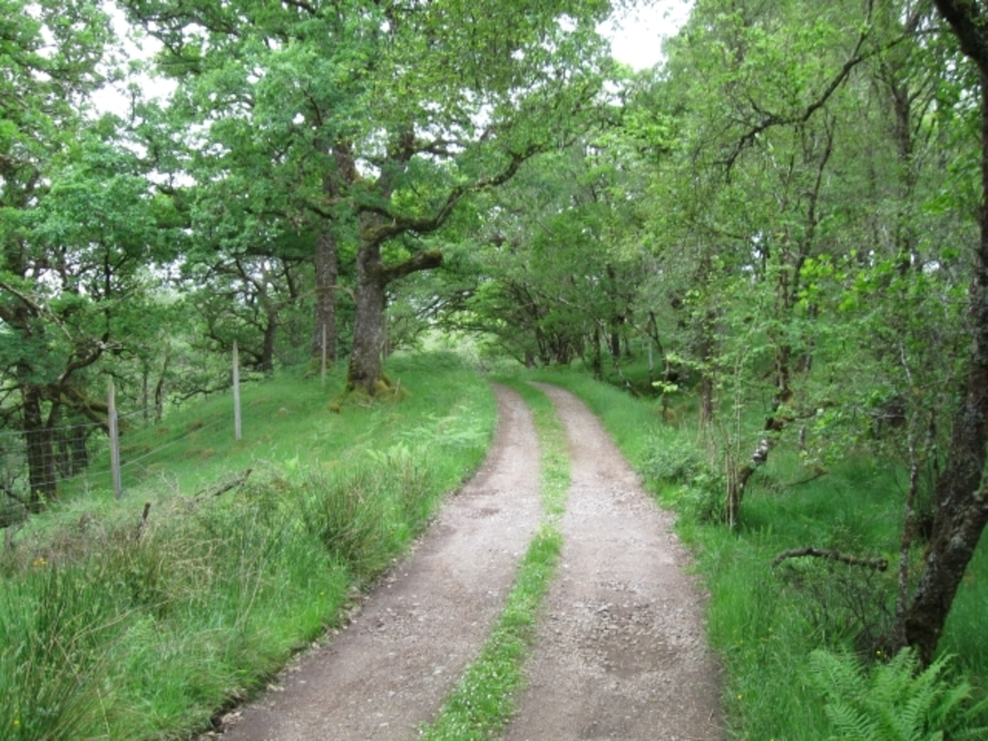 An image depicting the trail Garbh Eilean Trail and its surrounding area.