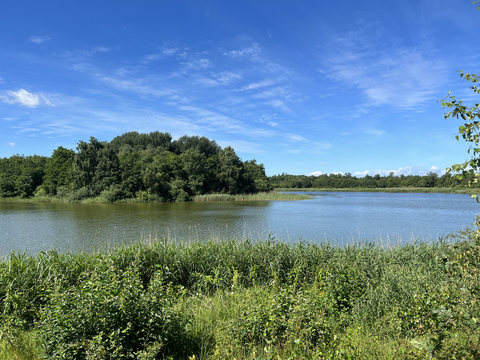 Kuinderplas and Burchtbos Loop