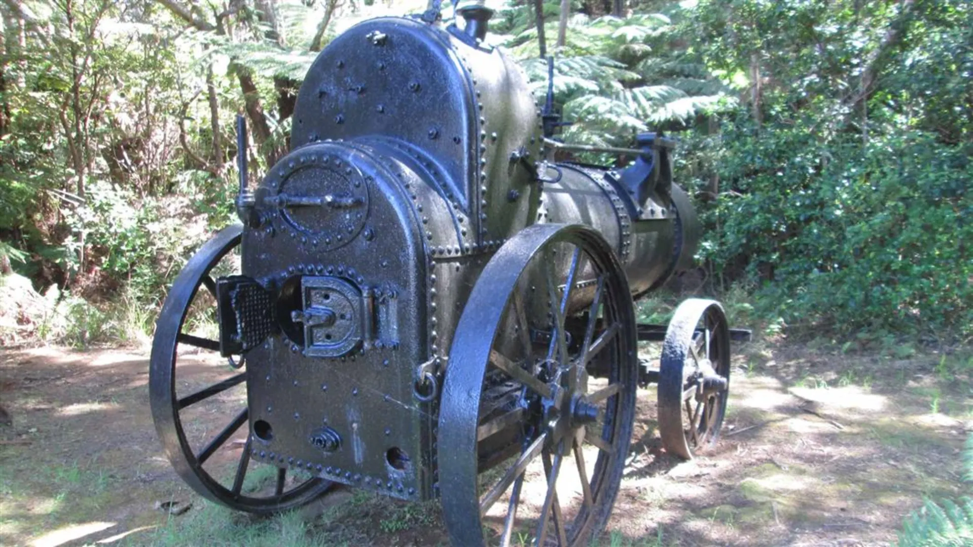 An image depicting the trail Whangaparapara - Old Mill Track and its surrounding area.